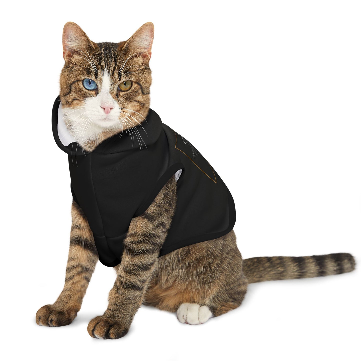 Pet Hoodie - Find Familiar Spell