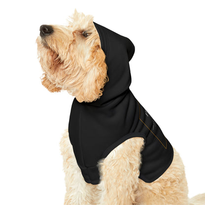 Pet Hoodie - Find Familiar Spell