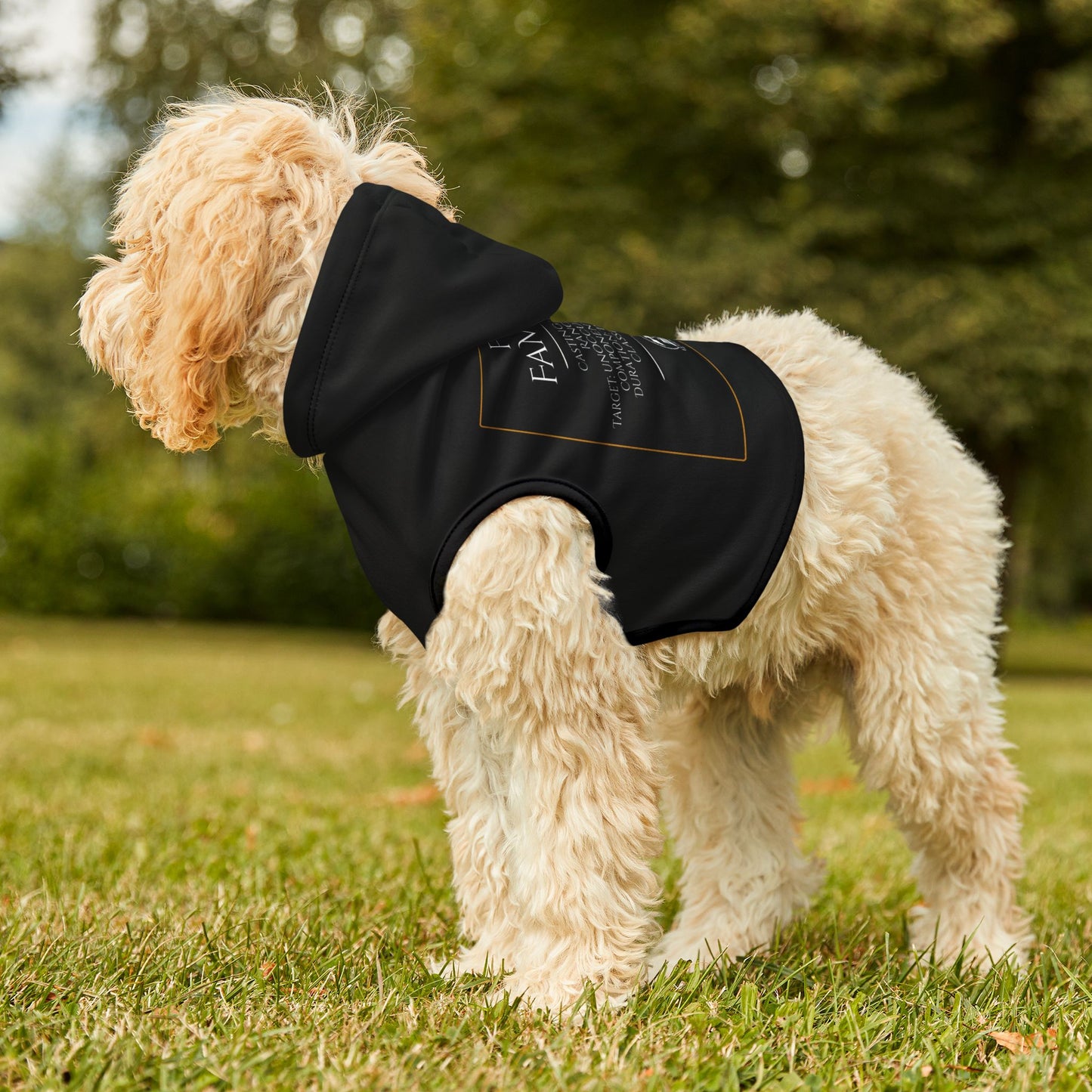 Pet Hoodie - Find Familiar Spell