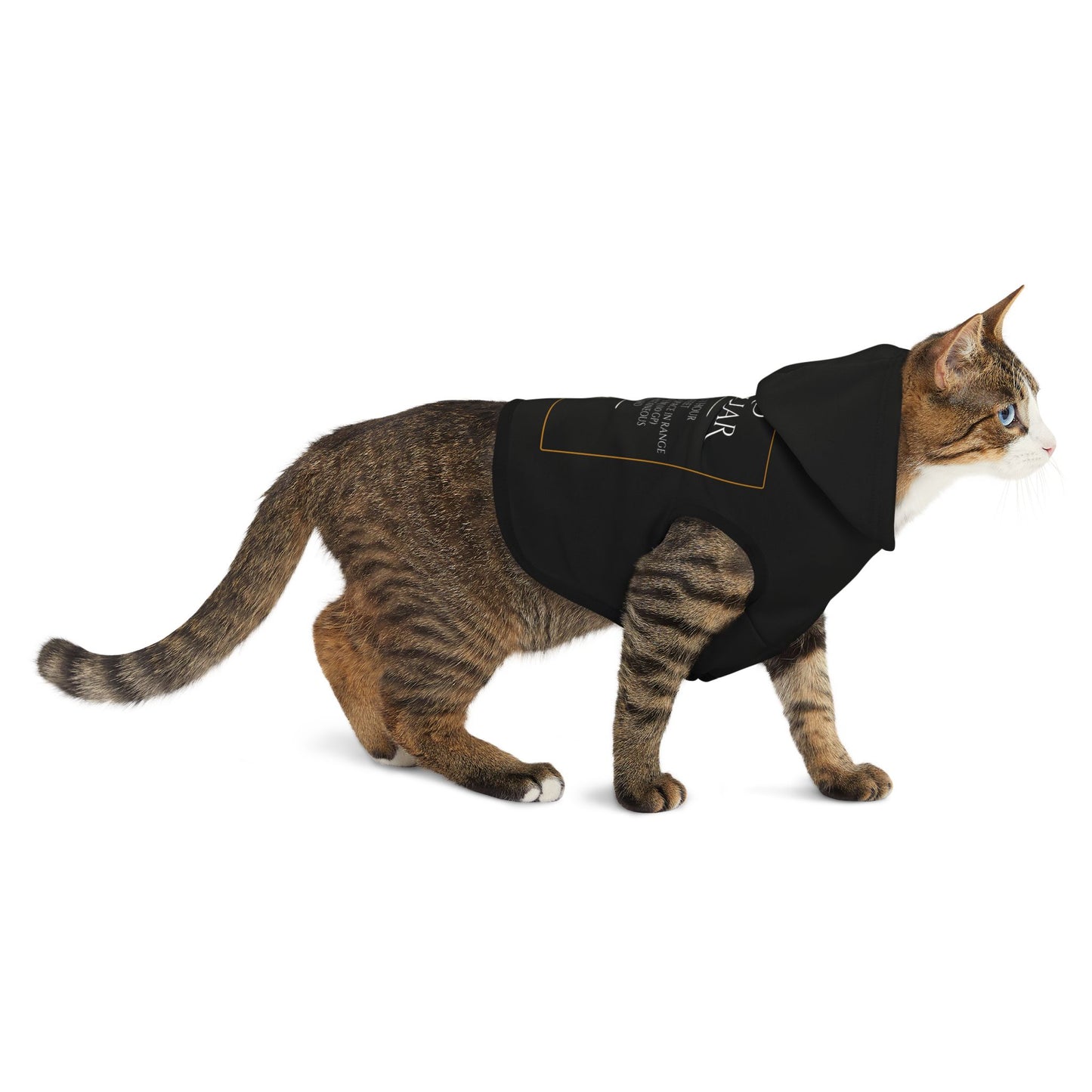 Pet Hoodie - Find Familiar Spell